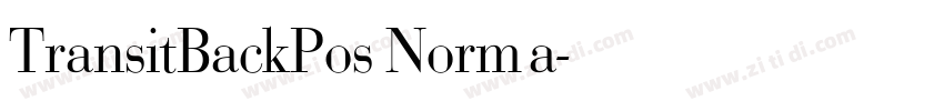 TransitBackPos Norma字体转换